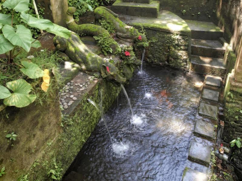 Bucu Beji Ubud Экстерьер фото