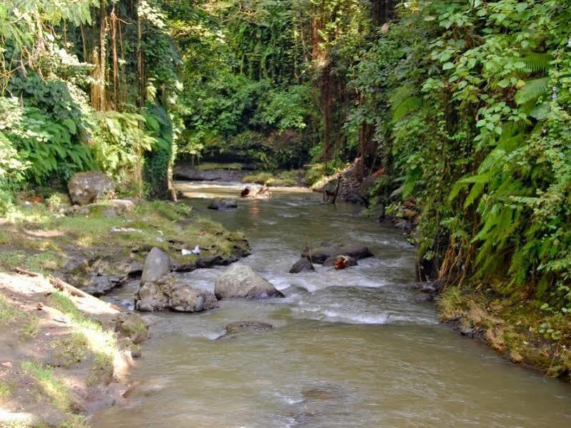 Bucu Beji Ubud Экстерьер фото