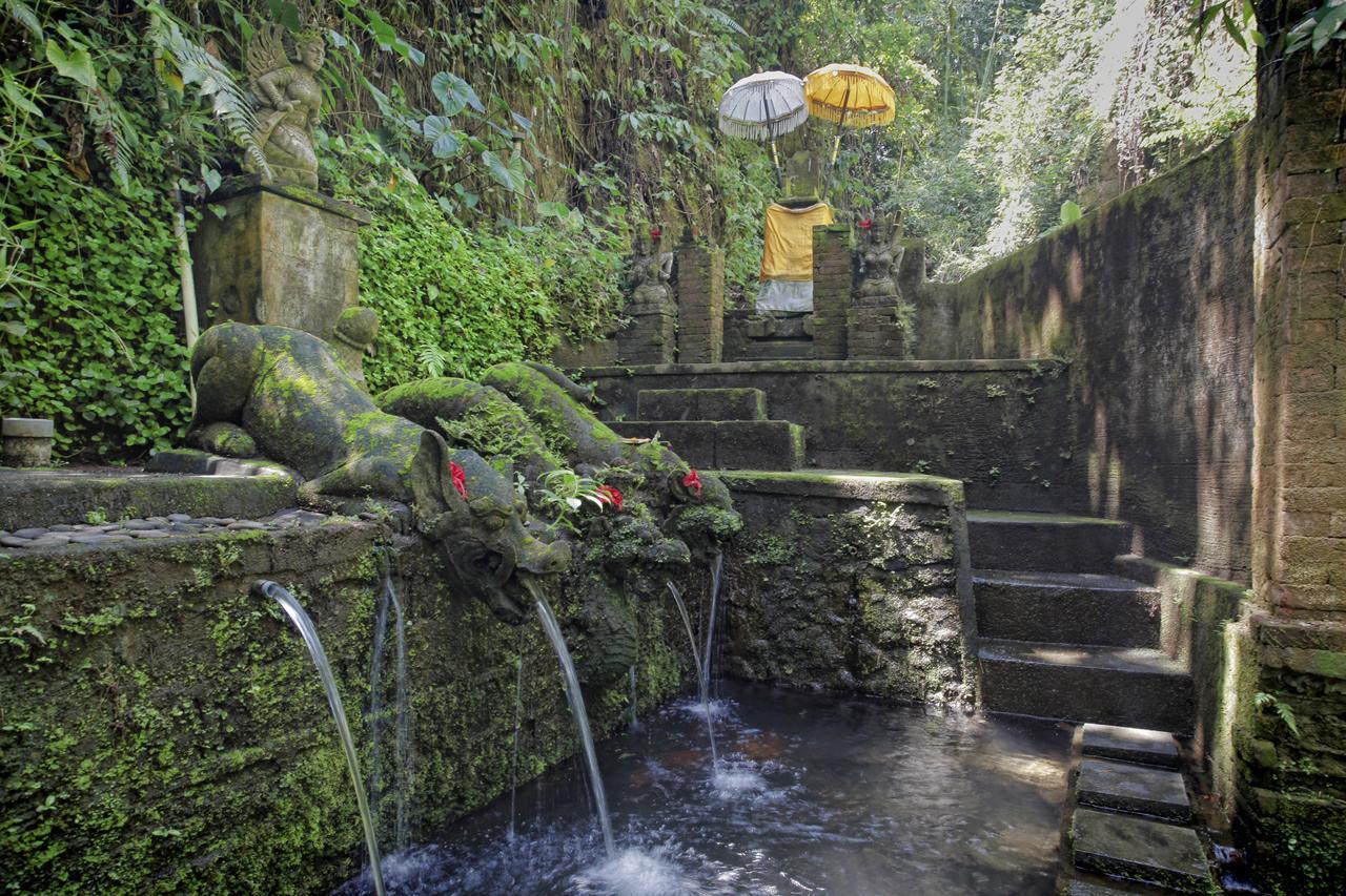 Bucu Beji Ubud Экстерьер фото