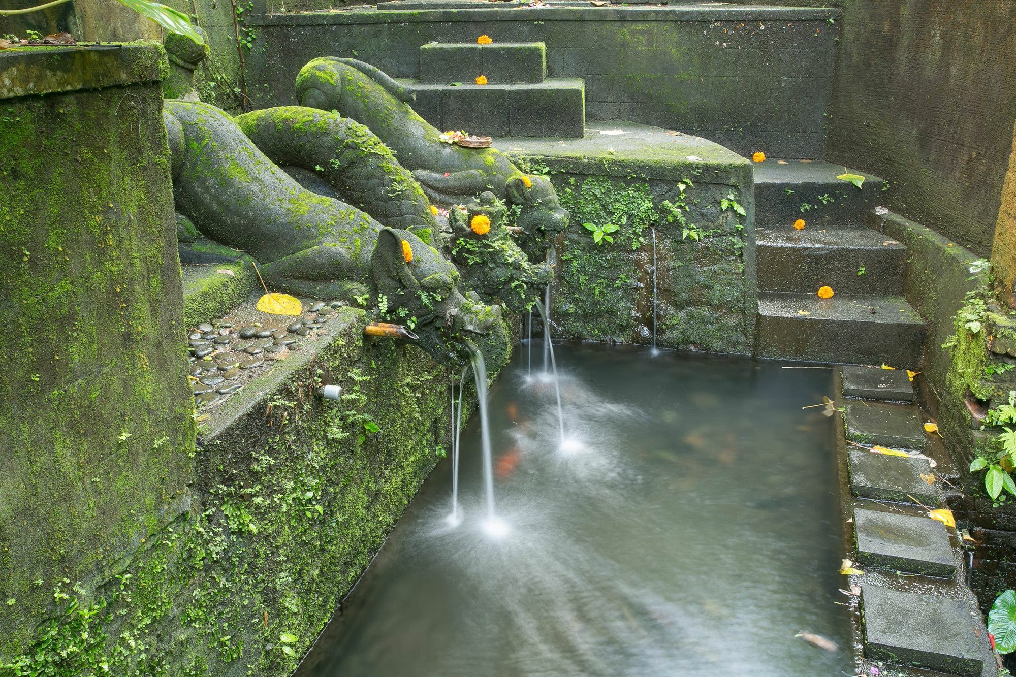 Bucu Beji Ubud Экстерьер фото